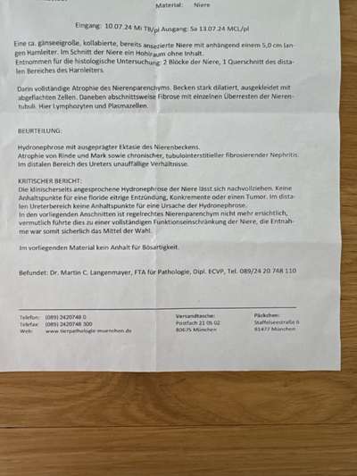 Unsicherheit Operation ja oder nein-Beitrag-Bild