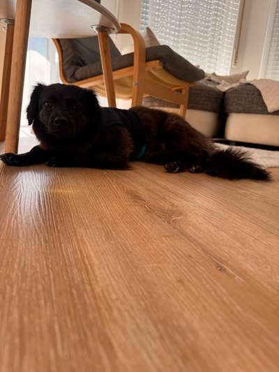 Unsicherheit Operation ja oder nein-Beitrag-Bild