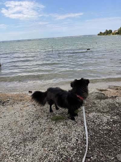 Unsicherheit Operation ja oder nein-Beitrag-Bild