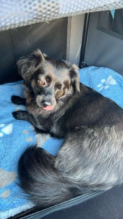 Unsicherheit Operation ja oder nein-Beitrag-Bild