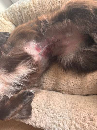 Unsicherheit Operation ja oder nein-Beitrag-Bild