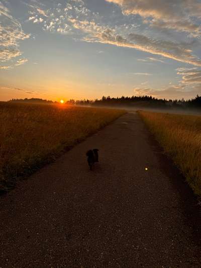 Unsicherheit Operation ja oder nein-Beitrag-Bild