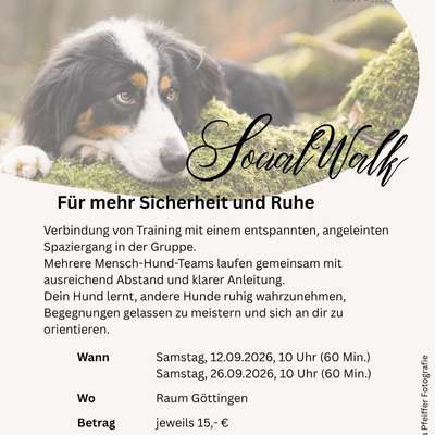 Giftköder-Social Walks im September-Bild