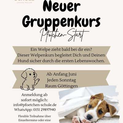 Giftköder-Welpenkurs "Pfötchen-Start"-Bild