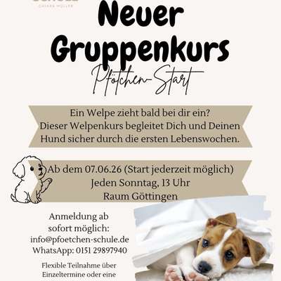 Giftköder-Welpenkurs "Pfötchen-Start"-Bild