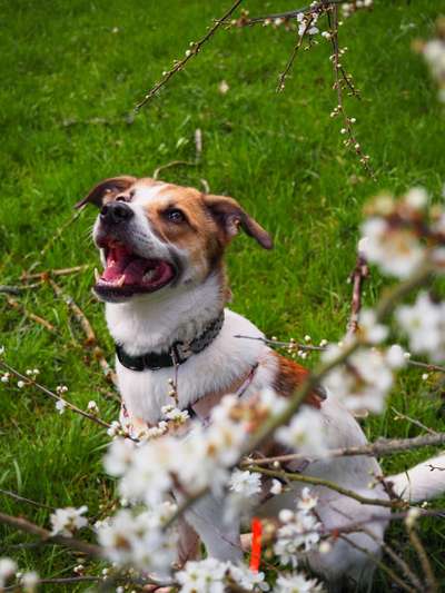 Farben Fotochallenge Thema ,,Grün"-Beitrag-Bild