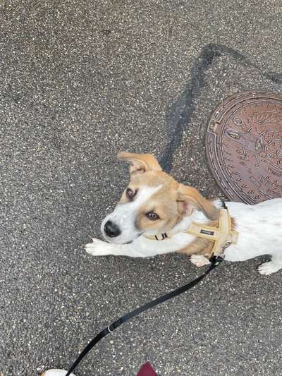 Handy-Foto Challange Nr. 10-Beitrag-Bild