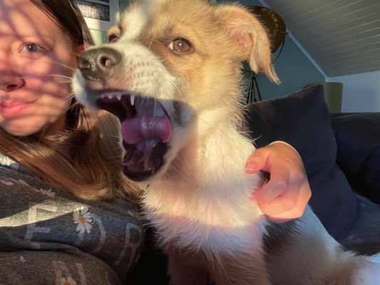 Handyfoto challenge Nr.7-Beitrag-Bild