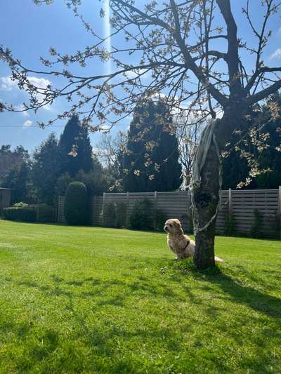 Farben Fotochallenge Sonnenlicht-Beitrag-Bild