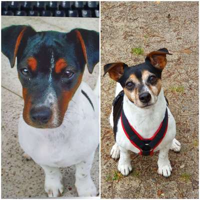 Vorher.... Nachher-Beitrag-Bild