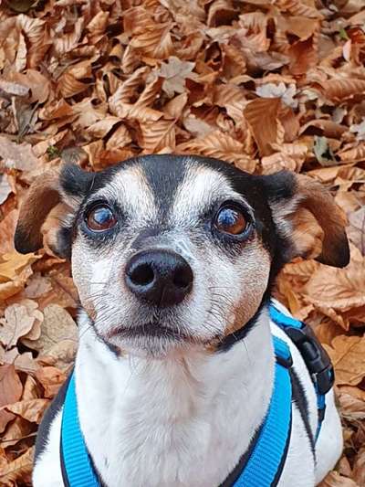 Fotochallange Nr. 57     PORTRÄT.   Beendet!!!!!!!!-Beitrag-Bild