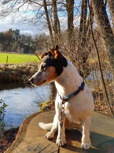 Fotochallenge Nr. 56 - geliebte Senioren-Beitrag-Bild