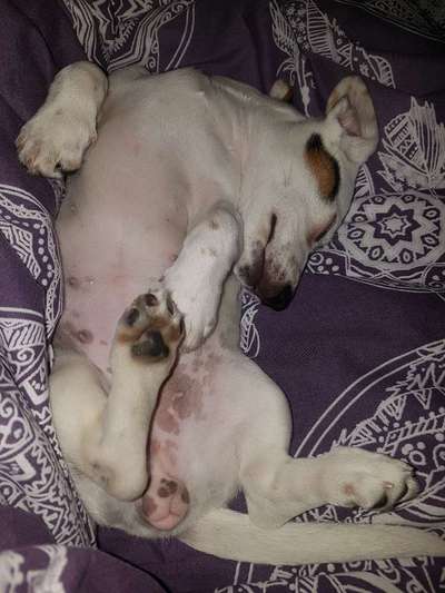 Die unbequemsten und lustigsten Schlafpositionen-Beitrag-Bild