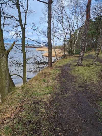 Hundeauslaufgebiet-Krummendorf Feld-Bild