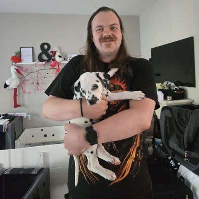 Julien's Profilbild