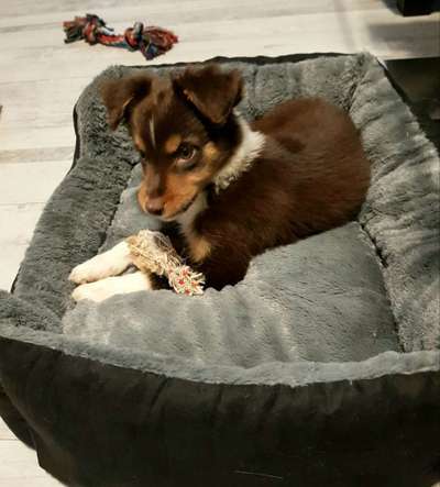 Vorher.... Nachher-Beitrag-Bild