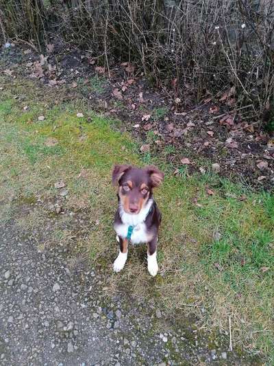 Vorher.... Nachher-Beitrag-Bild