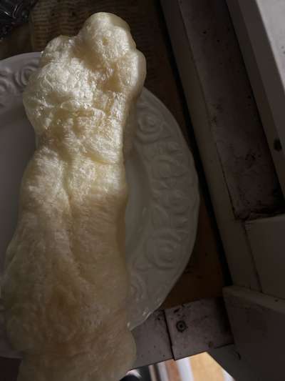 Kaukäse-Beitrag-Bild