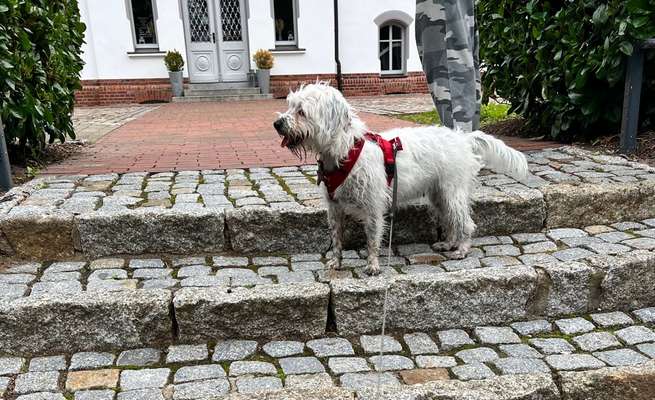 Gewicht-Beitrag-Bild