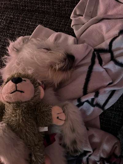 Foto Challenge Nr. 134-Beitrag-Bild