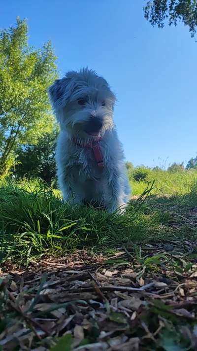 14. Kurzgeschichten – Challenge
Vorfreude auf ein Wiedersehen-Beitrag-Bild