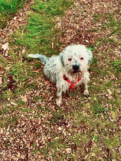 12. Farben Foto Challenge --- Braun-Beitrag-Bild