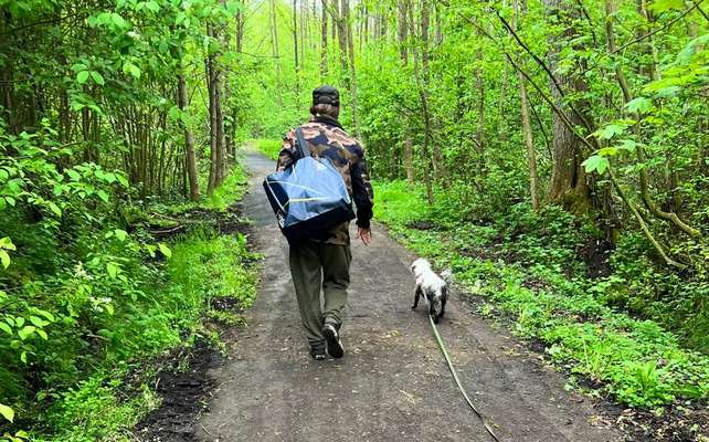 Foto -Challenge  Thema : Dein Hund Im Wald-Beitrag-Bild