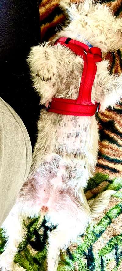 11. Farben Foto Challenge Rot-Beitrag-Bild