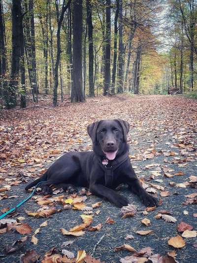 Das beste grinsefoto-Beitrag-Bild