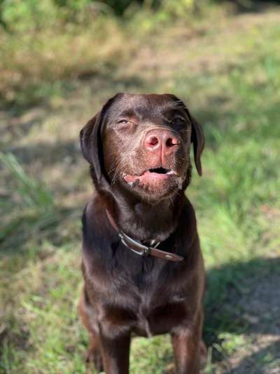 20. Handy -Foto-Callenge-Beitrag-Bild