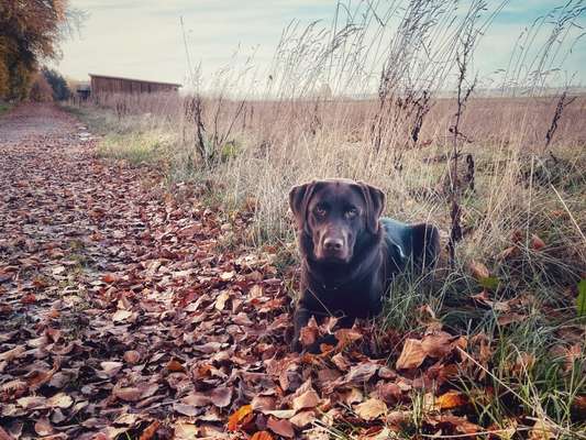 Herbst Bilder-Beitrag-Bild