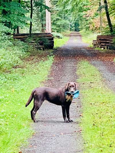 19. Handy - Foto - Challenge-Beitrag-Bild