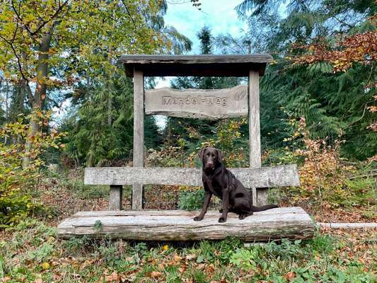 Fotochallenge 108: Starkes Team-Beitrag-Bild