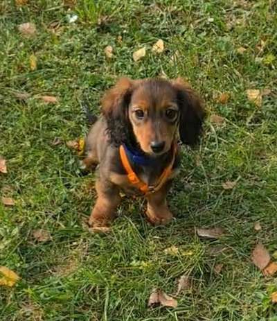 Fotochallange Nr. 57     PORTRÄT.   Beendet!!!!!!!!-Beitrag-Bild