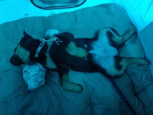 Fotochallenge Nr.65-Beitrag-Bild