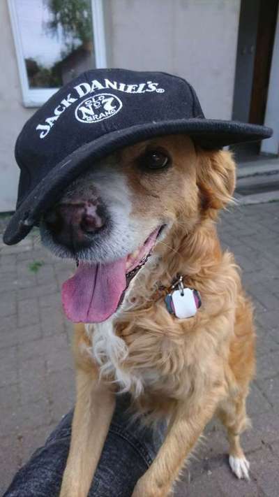 Fotochallenge Nr. 29 - Accessoires-Beitrag-Bild