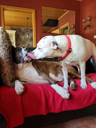 Foto-Challenge Nr. 90: Lebensfreude-Beitrag-Bild