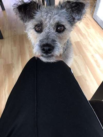 Lieblingsbild-Beitrag-Bild