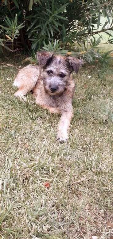 Lieblingsbild-Beitrag-Bild