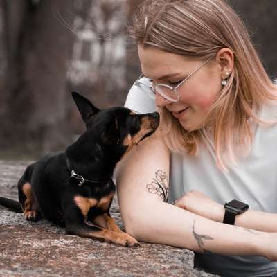 Hundetreffen-Gassi gehen/ Spielrunde für kleine Hunde-Profilbild