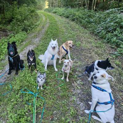 Giftköder-Tagesbetreuung-Bild