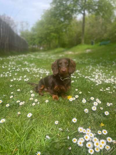 Fotowettbewerb Natur-Beitrag-Bild
