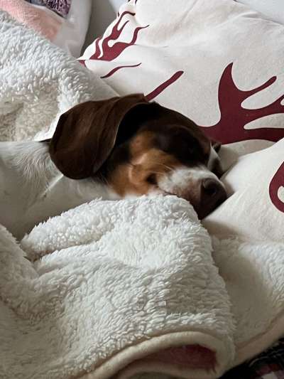 Das beste grinsefoto-Beitrag-Bild