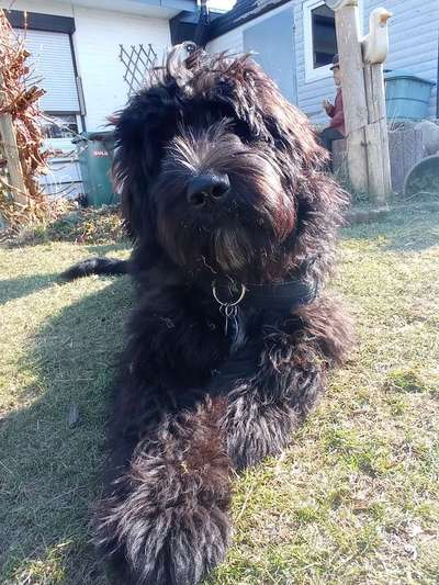 Zeigt eure Portraits-Beitrag-Bild