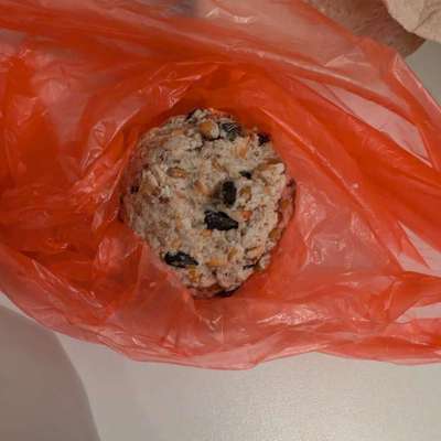 Giftköder-Verdacht auf Giftköder-Bild