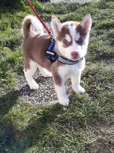 Sie werden so schnell erwachsen ...-Beitrag-Bild