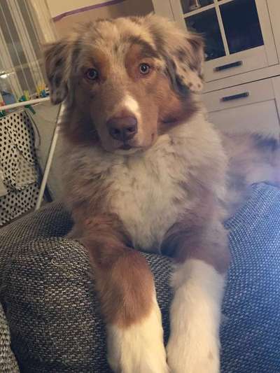 Vorher.... Nachher-Beitrag-Bild