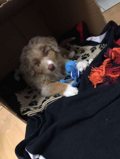 Vorher.... Nachher-Beitrag-Bild