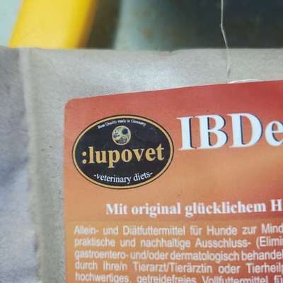 IBD-Beitrag-Bild