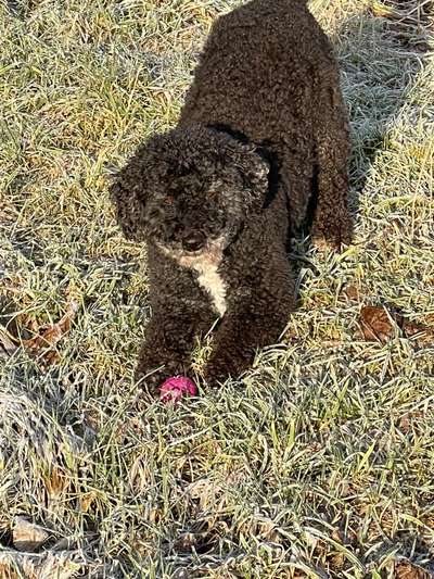 23. Collagen-Challenge: Portraits-Beitrag-Bild